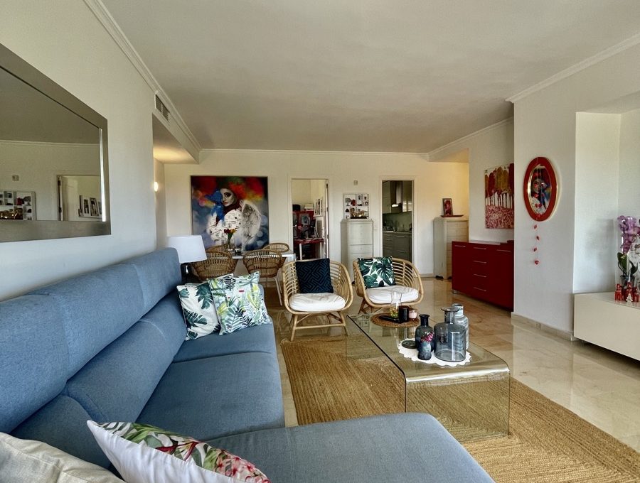 duplex-penthouse-in-nagueles-golden-mile-img_2572