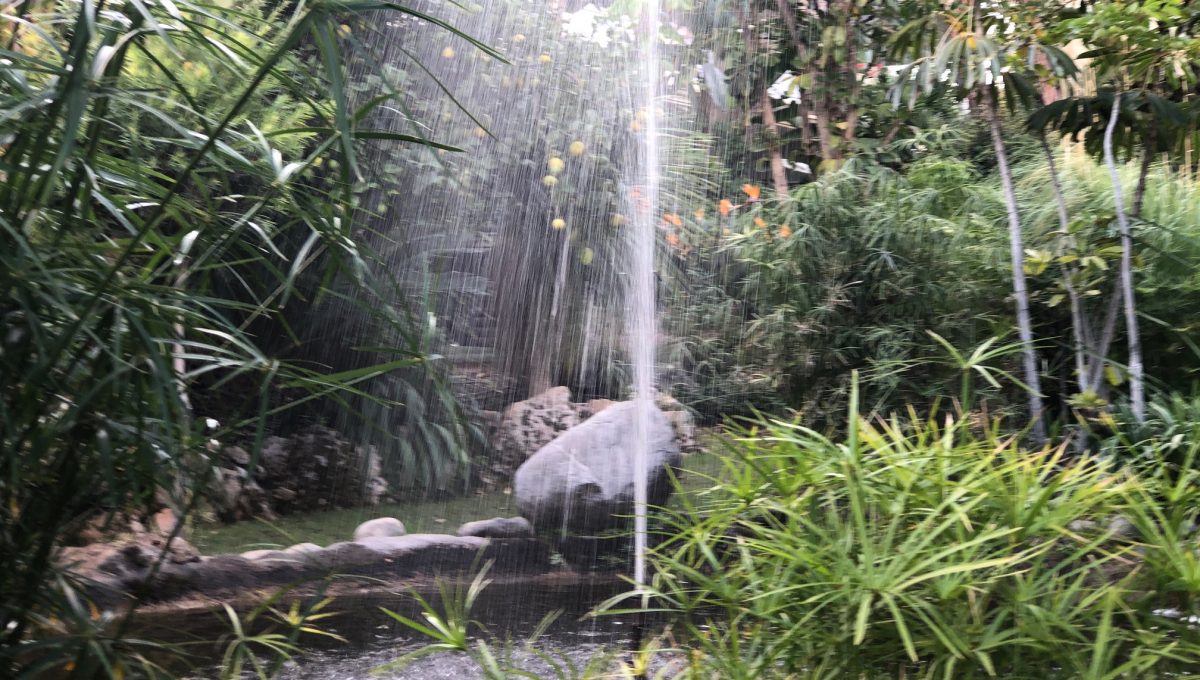 large-cosy-garden-apartment-in-nagueles-golden-mile-marbella-img_2104