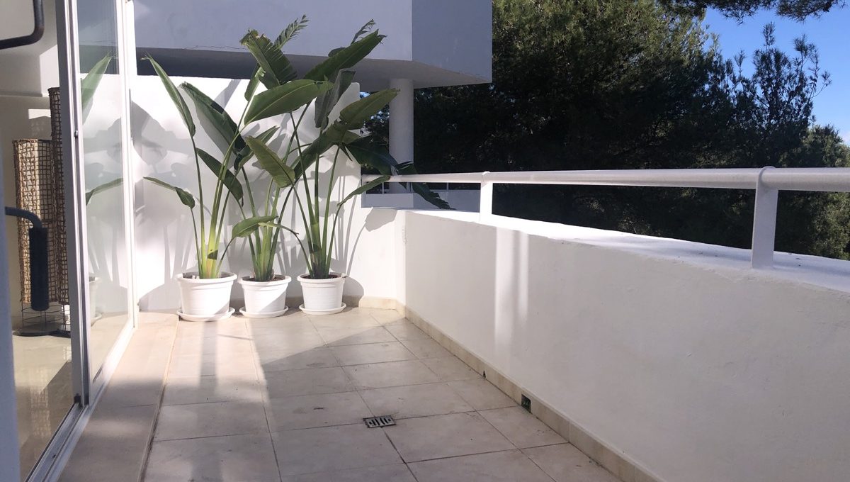 refurbished-duplex-penthouse-with-private-pool-img_1035