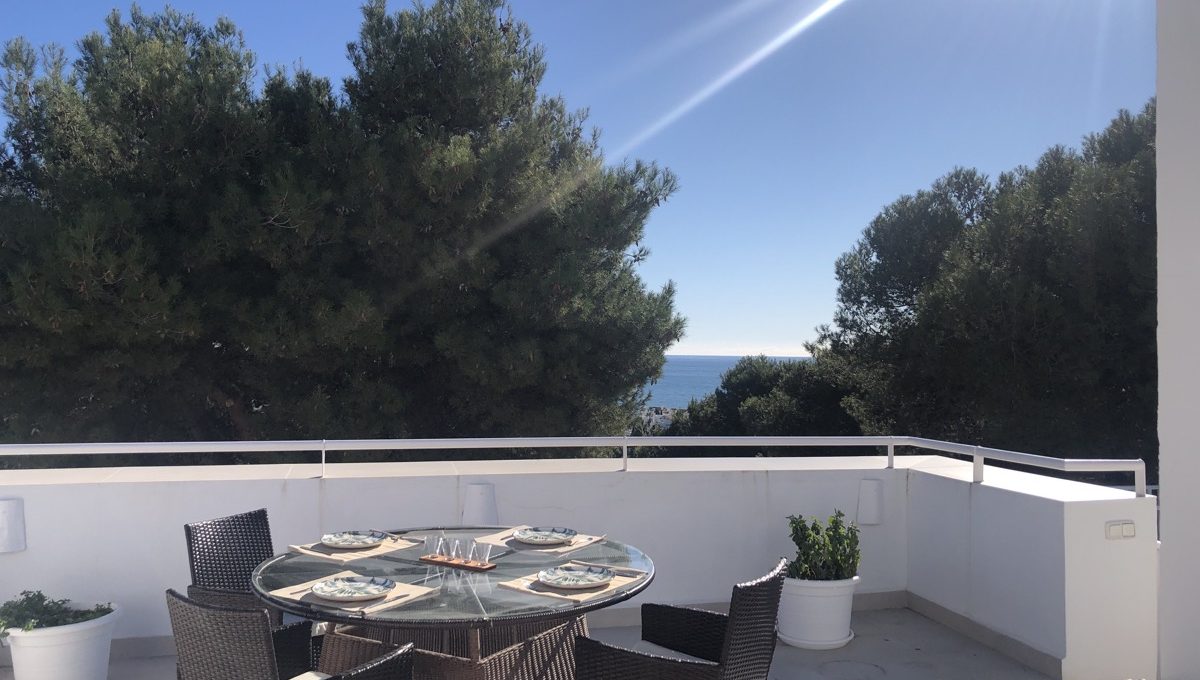 refurbished-duplex-penthouse-with-private-pool-img_1039