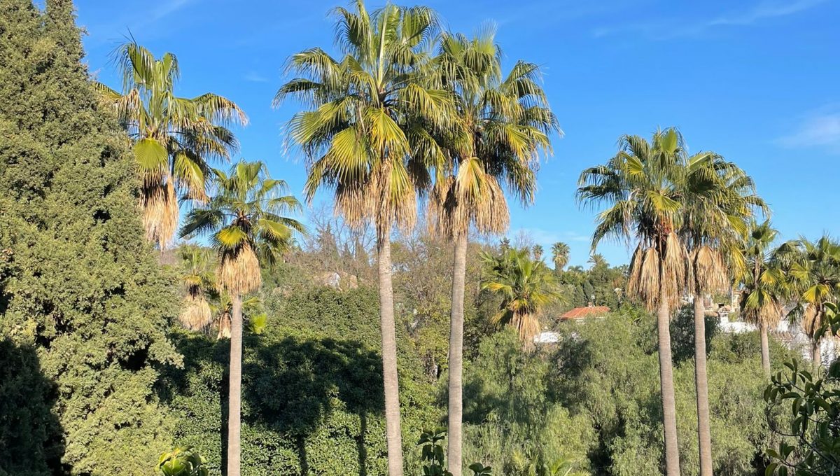 duplex-penthouse-in-nagueles-marbella-photo-2023-03-03-19-47-12 3